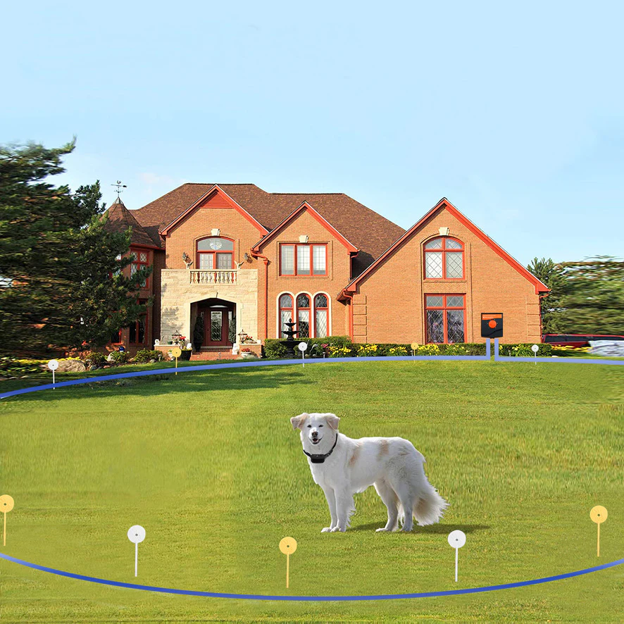 Home Improvement Ideas That Benefit Both Pets and Homeowners